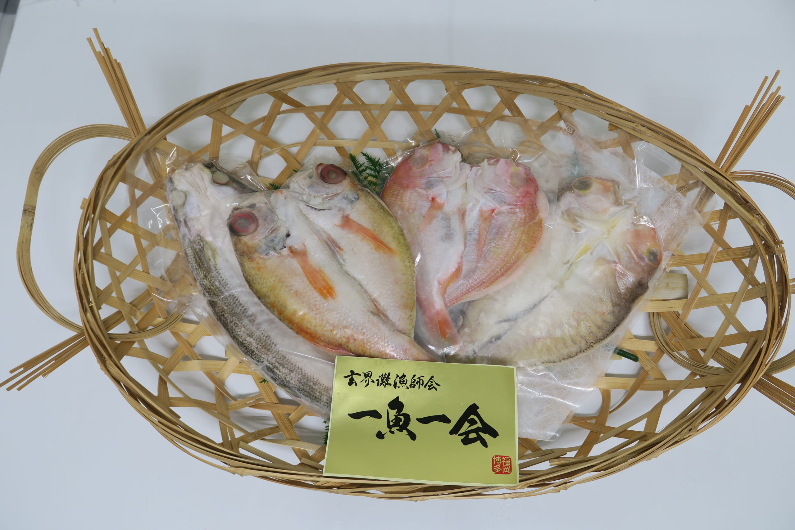 高級旨魚一夜干しセット 3 4枚 玄界灘漁師のこだわりの魚を本物の美味しさを漁師の目利きで漁師の手でご家庭に届けます