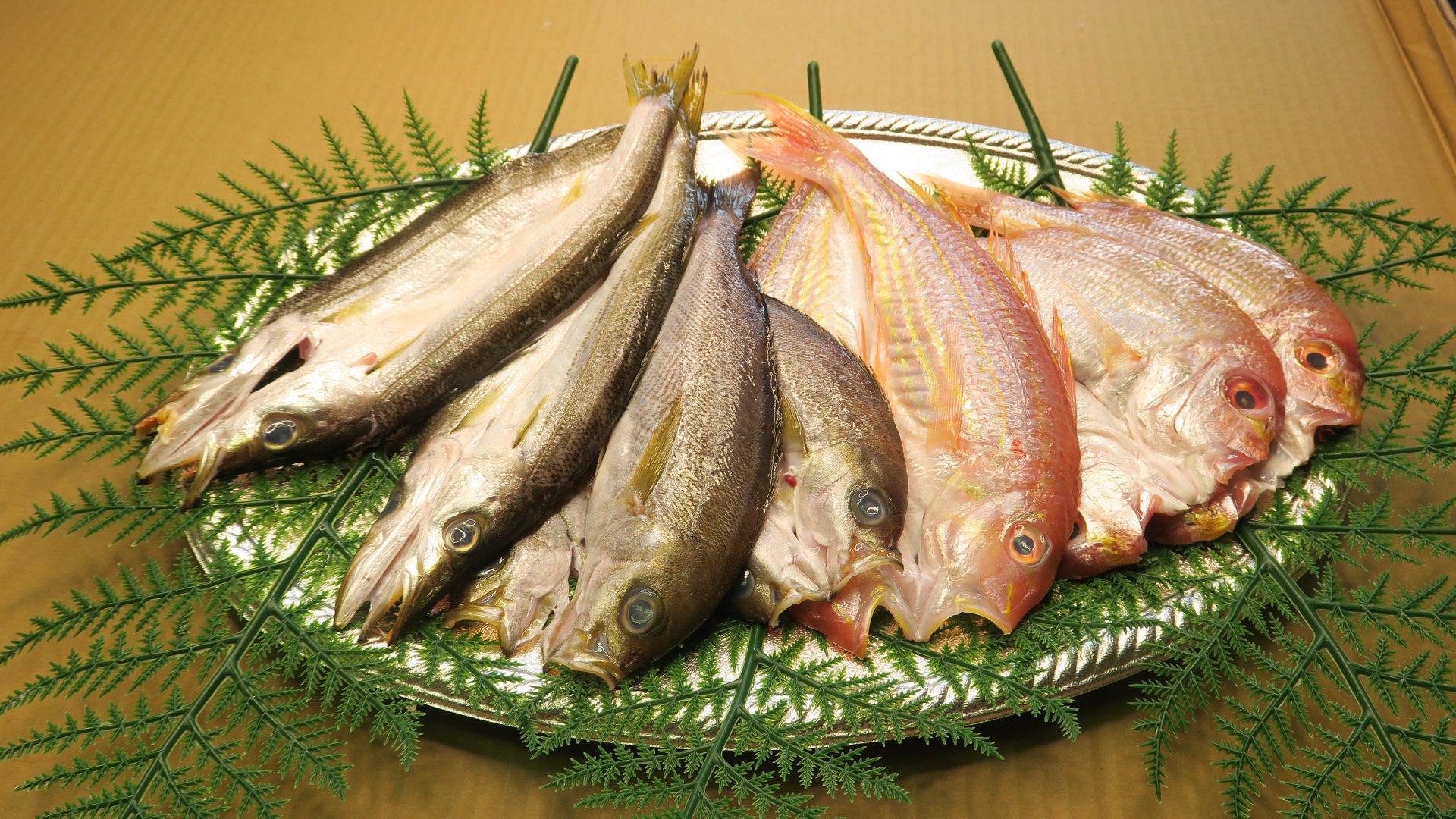 お買い得一夜干しセット 5 8枚 玄界灘漁師のこだわりの魚を本物の美味しさを漁師の目利きで漁師の手でご家庭に届けます